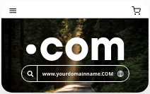 .com Domain 